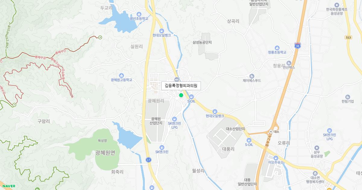 충청북도 진천군 토요일 정형외과 병원 정보