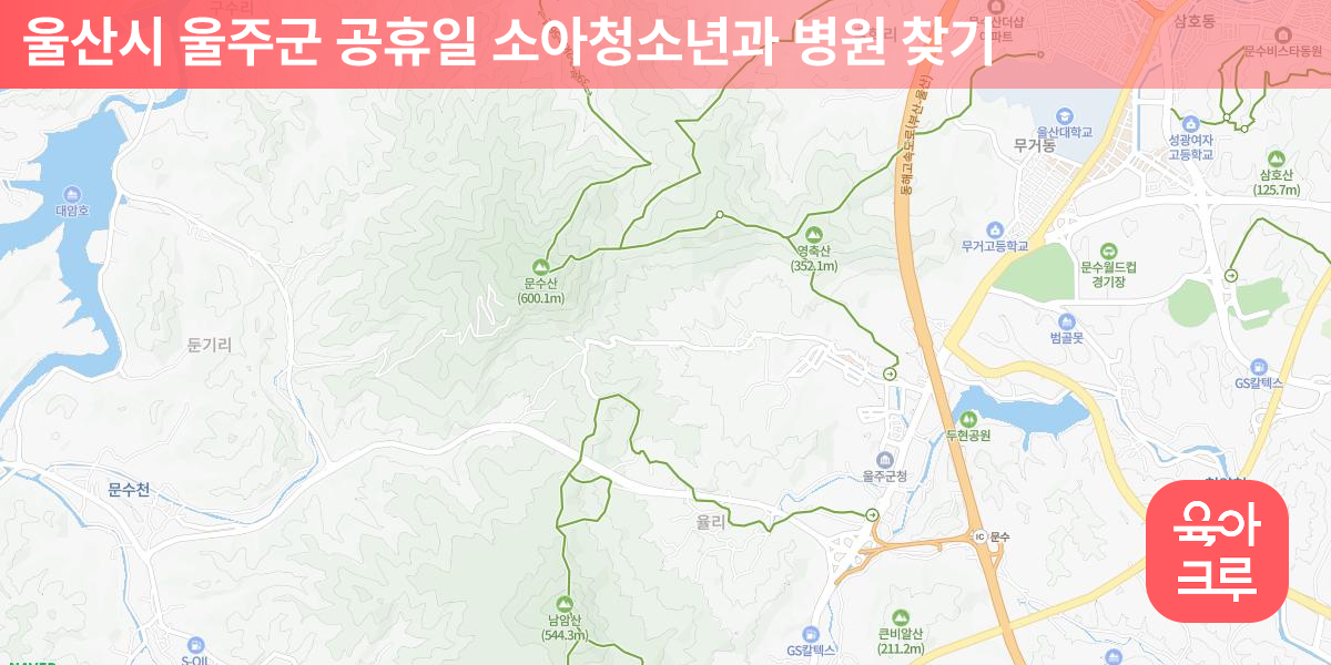 울주군 공휴일 소아청소년과 병원 4곳 | 육아크루