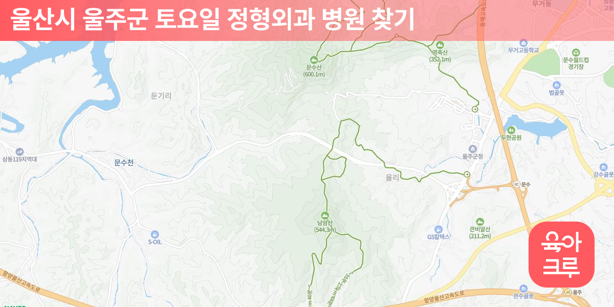 울주군 토요일 정형외과 병원 10곳 | 육아크루