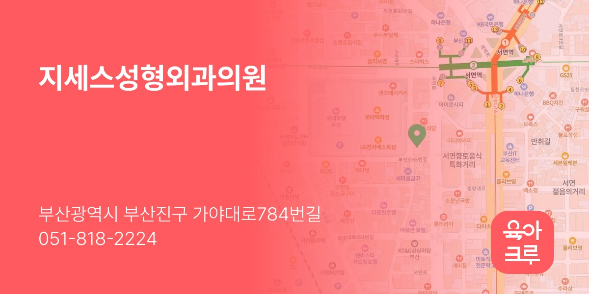 지세스성형외과의원