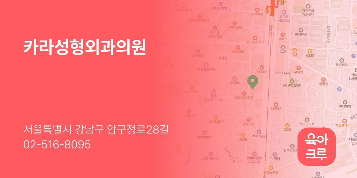 카라성형외과의원