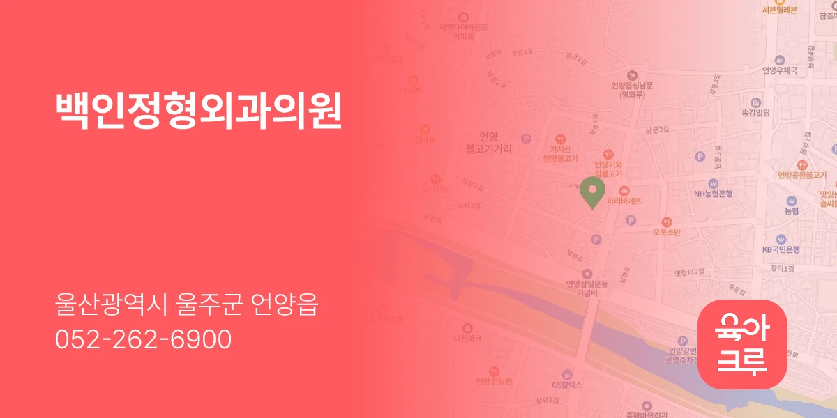 백인정형외과의원