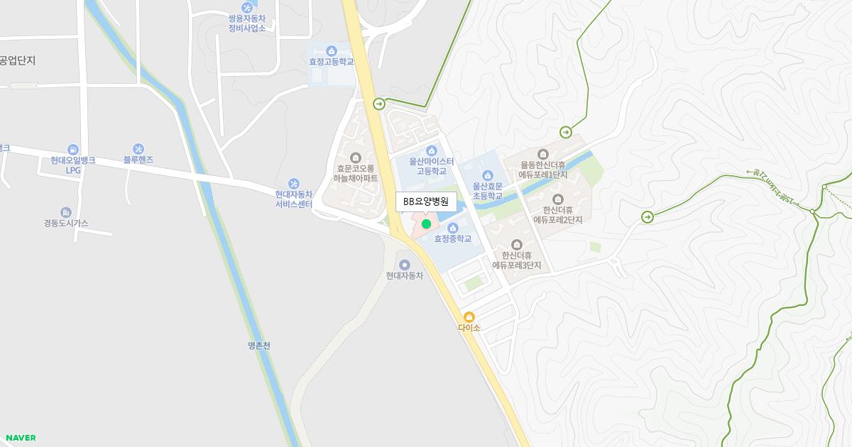 BB요양병원