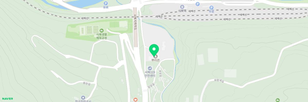 강원랜드뿌리관 지도 이미지