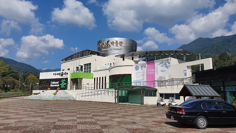 하동야생차박물관 썸네일