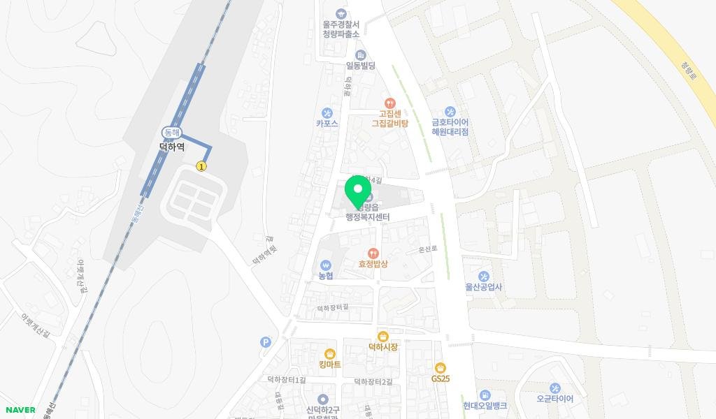 늘푸름작은도서관 지도 이미지