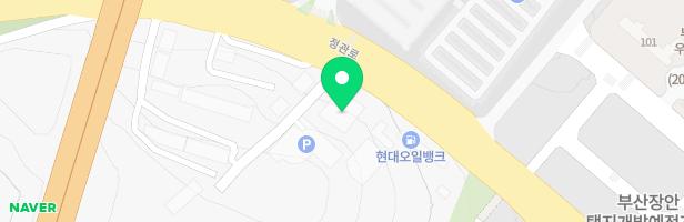 키위키즈랜드 지도 이미지