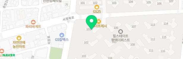 평택 더퍼스트 현대힐스테이트 아이숲 지도 이미지