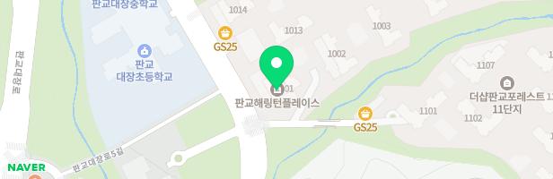 판교대장로5길 70 1005동앞 어린이놀이터4 지도 이미지