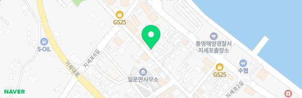 리틀크레용 정글짐 지도 이미지