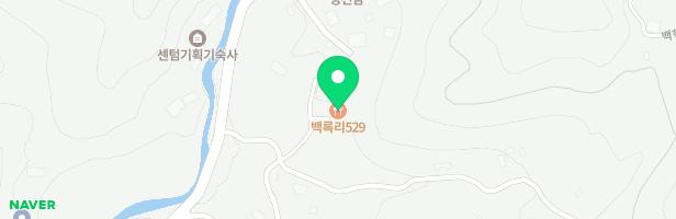 백록리529 지도 이미지