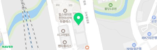 아산 배방 장재리 힐스테이트 천안아산역 듀클래스 102동 앞 어린이놀이터 지도 이미지