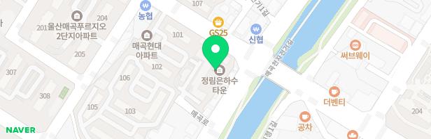 정림은하수타운 아파트 지도 이미지