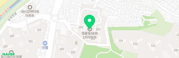 명륜동 SK-VIEW 지도 이미지