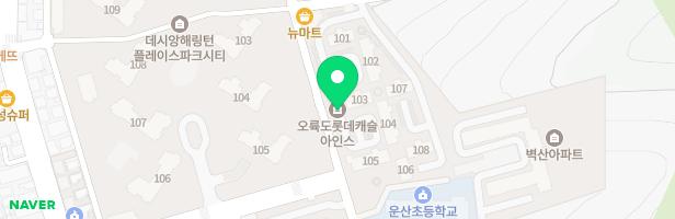 롯데캐슬아인스 놀이터 지도 이미지