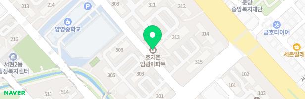 효자촌 임광 (302동 옆) 지도 이미지