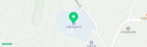 무릉초등학교 놀이터 지도 이미지