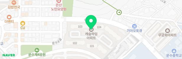 세종 캐슬하임 지도 이미지