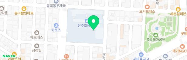 선주초등학교 어린이놀이시설 지도 이미지