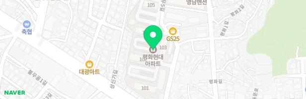평화현대아파트 제1어린이놀이시설(그네,조합놀이대,모래만 검사) 지도 이미지