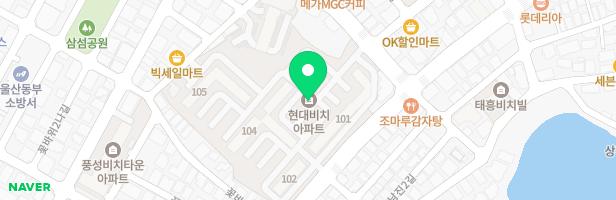 현대비치아파트105동 놀이터 지도 이미지