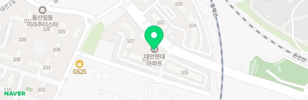 대안현대아파트 놀이터 지도 이미지