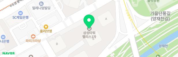 타워팰리스1차 야외놀이터 지도 이미지