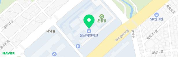 울산혜인학교 지도 이미지