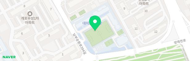 서울대치초등학교 지도 이미지