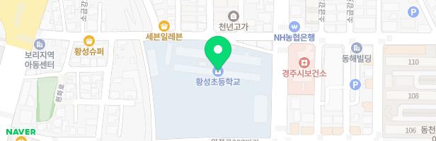 황성초등학교 어린이놀이시설 지도 이미지