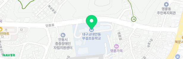 대구교육대학교안동부설초등학교 어린이놀이시설 지도 이미지