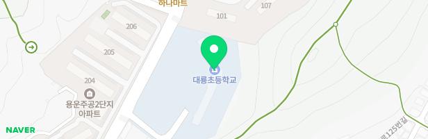 대전대룡초등학교 놀이터 지도 이미지