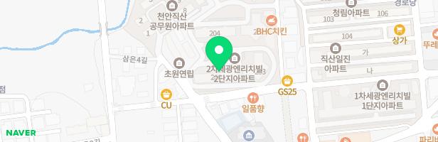 두정세광2차엔리치빌 201동 어린이놀이터 지도 이미지