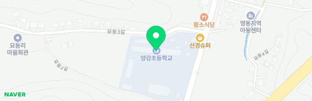 양강초등학교 병설유치원 놀이시설 지도 이미지