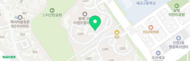 꿈에그린 더센트럴 단지 2동 옆 놀이터 지도 이미지