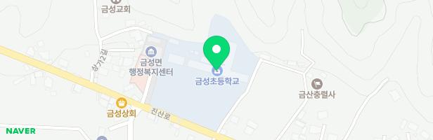 금성초등학교 병설유치원 놀이시설 지도 이미지