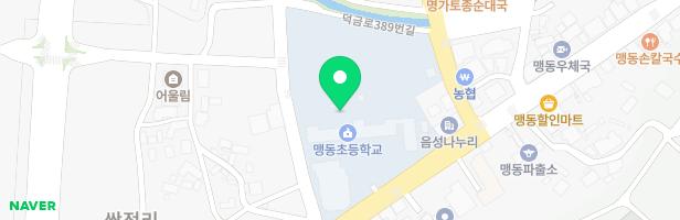 맹동초등학교 운동장 놀이시설 지도 이미지