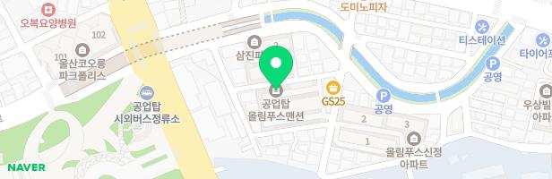 공업탑올림푸스맨션 놀이터 지도 이미지