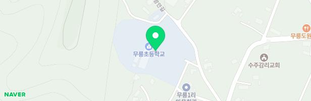 무릉초등학교 병설유치원 놀이시설 지도 이미지