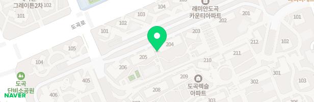 도곡렉슬 놀이터3 (205동) 지도 이미지