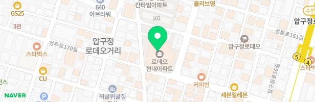 로데오현대아파트 지도 이미지