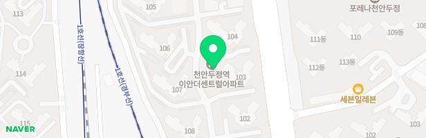 이안APT 106동 앞 어린이놀이터 -1(성놀이터) 지도 이미지