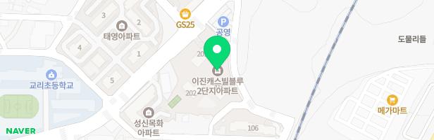 이진캐스빌블루2차아파트 202동 옆 놀이터 지도 이미지