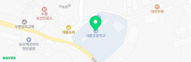 대홍초등학교 병설유치원 놀이시설 지도 이미지