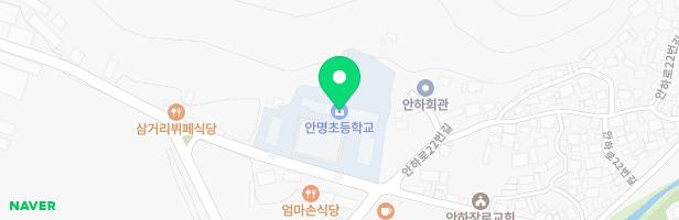 안명초등학교 어린이놀이시설 지도 이미지