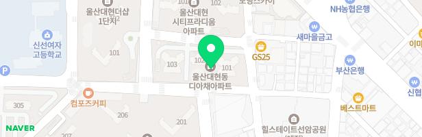 디아채아파트 지도 이미지
