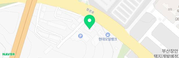 키위키즈랜드 지도 이미지