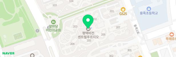 평택 비전 2차 푸르지오 아파트 206동옆 어린이놀이터 1 지도 이미지