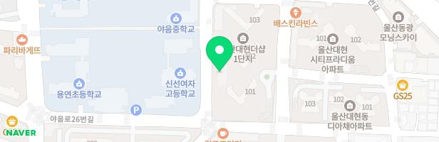 울산대현더샵1단지아파트 101동 지도 이미지