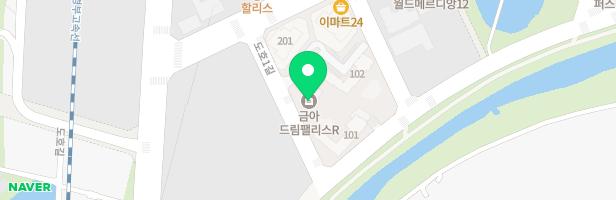 금아드림팰리스 101동 옆 유아놀이터 지도 이미지
